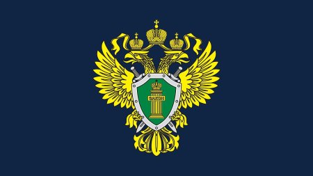 Надзор прокуратуры