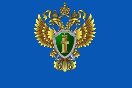 Картинки герб прокуратуры рф без фона (53 фото)