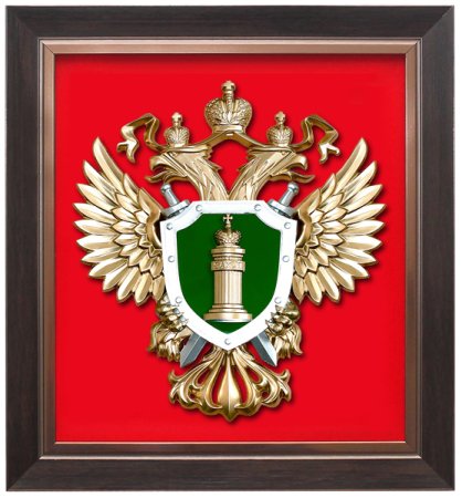 Геральдика прокуратуры РФ
