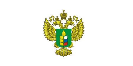 Прокуратура надпись