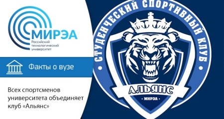 МИРЭА ниндзя