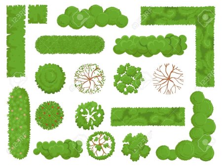 Живая изгородь вид сверху вектор