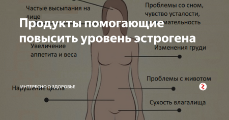 Гормон эстроген у женщин