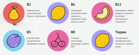 Обновление клеток в организме