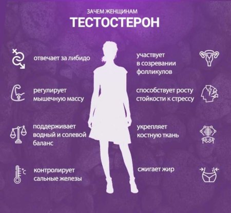 Тестостерон у женщин