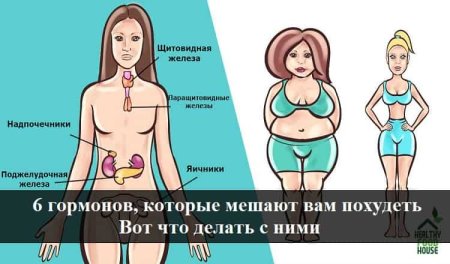 Гормоны для похудения женщинам