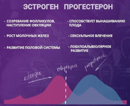 Эстрогены женские