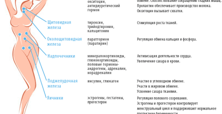 Что такое гормоны у женщин