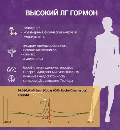 Лютеинизирующий гормон у женщин