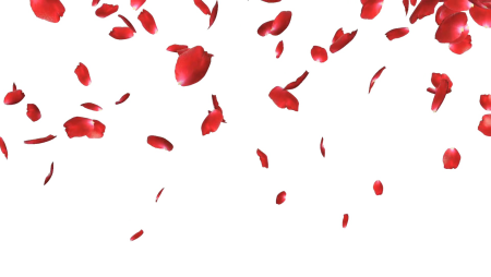 Летающие лепестки