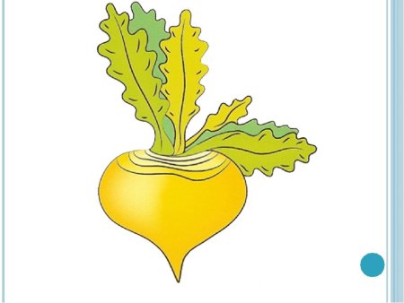 Репка рисунок