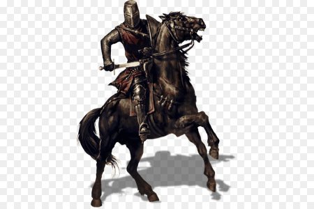 Mount and Blade 2 Bannerlord Рыцари