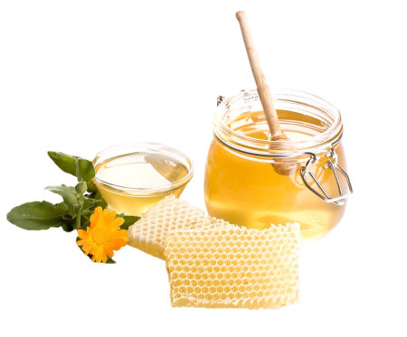 Мёд и продукты пчеловодства