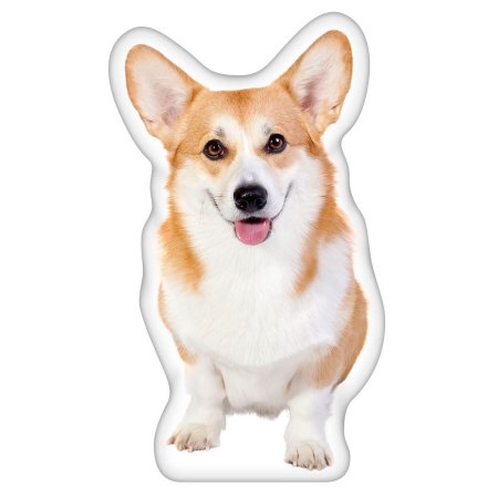 Собака корги