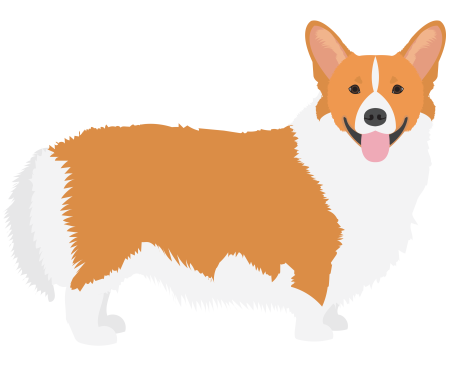 Вельш корги пемброк PNG