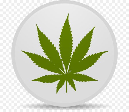 Лист марихуаны Cannabis