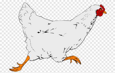 Курица рисунок