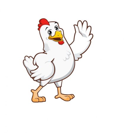 Курица на белом фоне