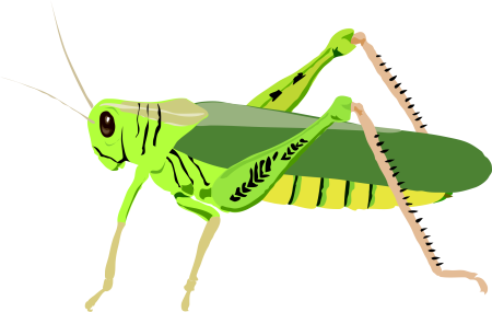 Grasshopper («кузнечик», 1946).