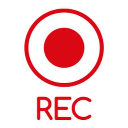Кнопка Rec