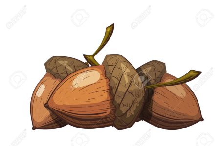 Желуди стилизованные