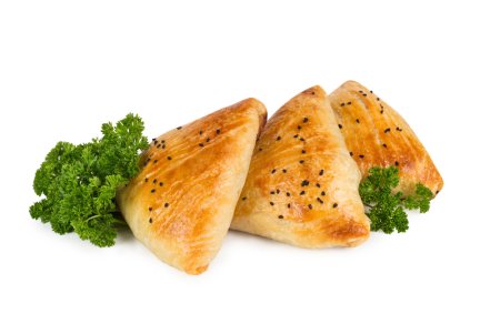 Самса тандырная