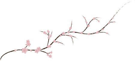 Ветка цветов без фона