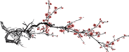 Сакура дерево сбоку
