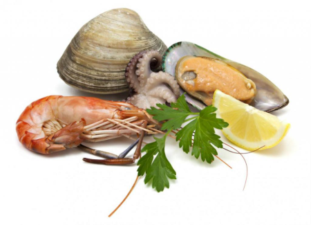 Морепродукты на белом фоне