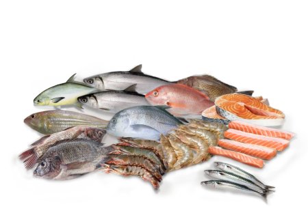 Fresh Fish