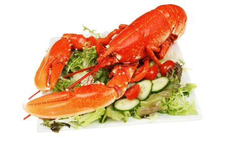 Морепродукты на белом фоне