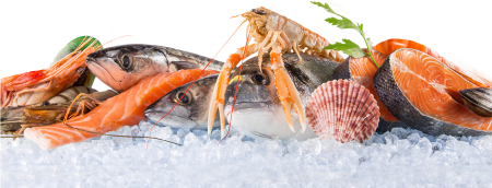 Морепродукты на льду