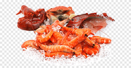 Морепродукты без фона