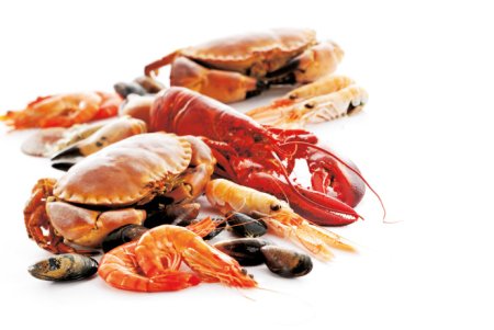 Морепродукты на белом фоне