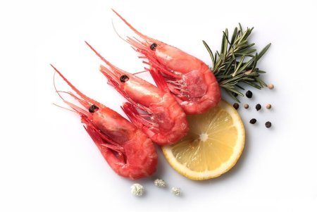 Морепродукты на белом фоне