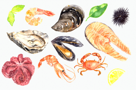 Морепродукты акварель