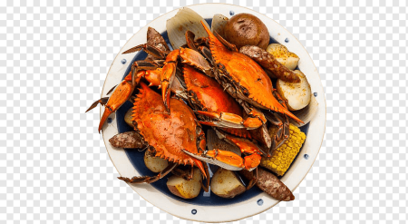 Морепродукты на прозрачном фоне