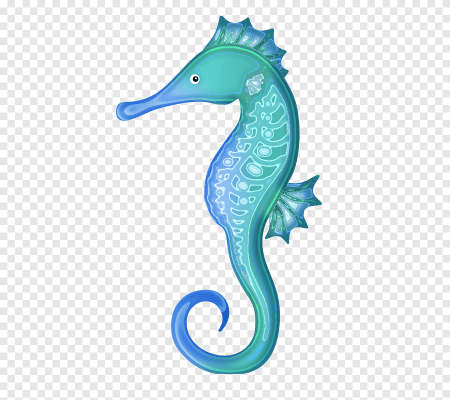 Морской конек на прозрачном фоне