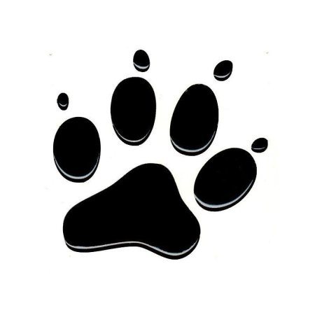 Кошачья лапа отпечаток