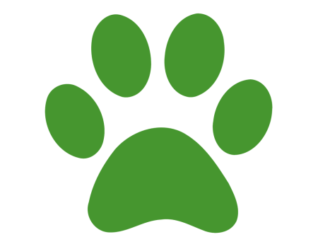 Paw Patrol лапы
