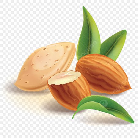 Almond вектор