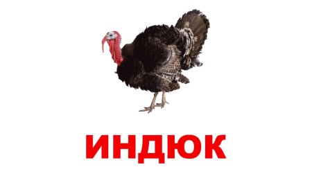 Карточки Домана домашние животные