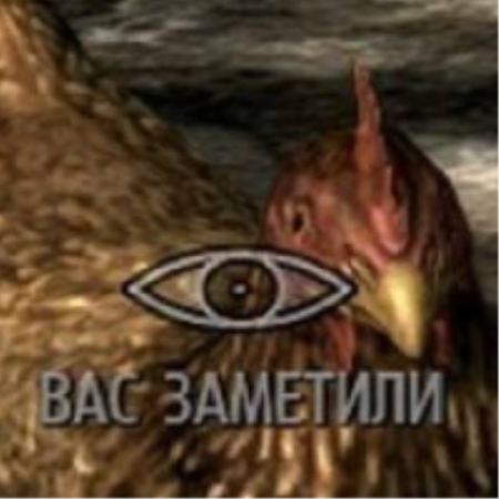 Скайрим курица вас заметили