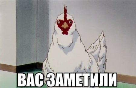Вас заметили Мем курица