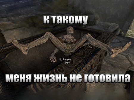 Скайрим для важных переговоров