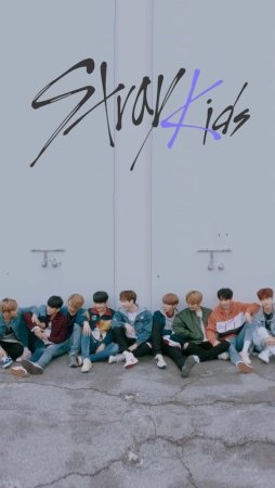 Любимые цвета участников Stray Kids