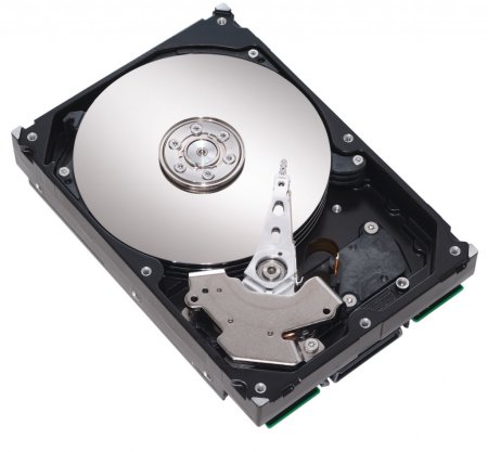 Жесткий диск Seagate st31000528as