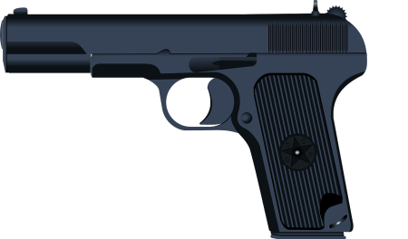 TT-33 вид сбоку