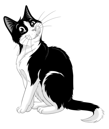 Кот Феликс корм