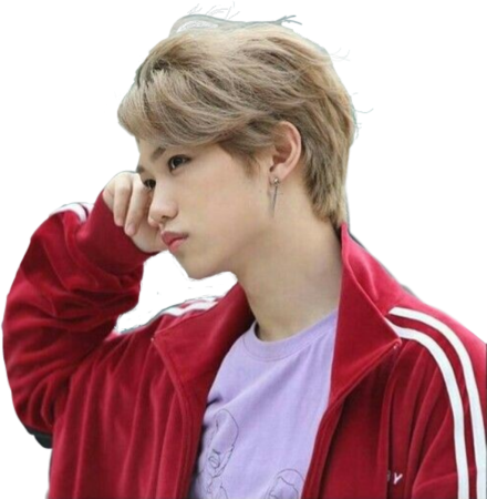 Феликс PNG Stray Kids